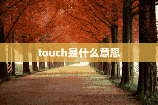 touch是什么意思(Touch your nose是什么意思中文翻译)